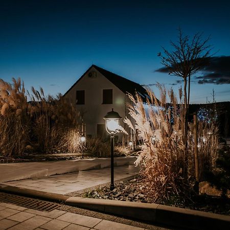 Zapomniany Zdroj Lägenhet Glucholazy Exteriör bild