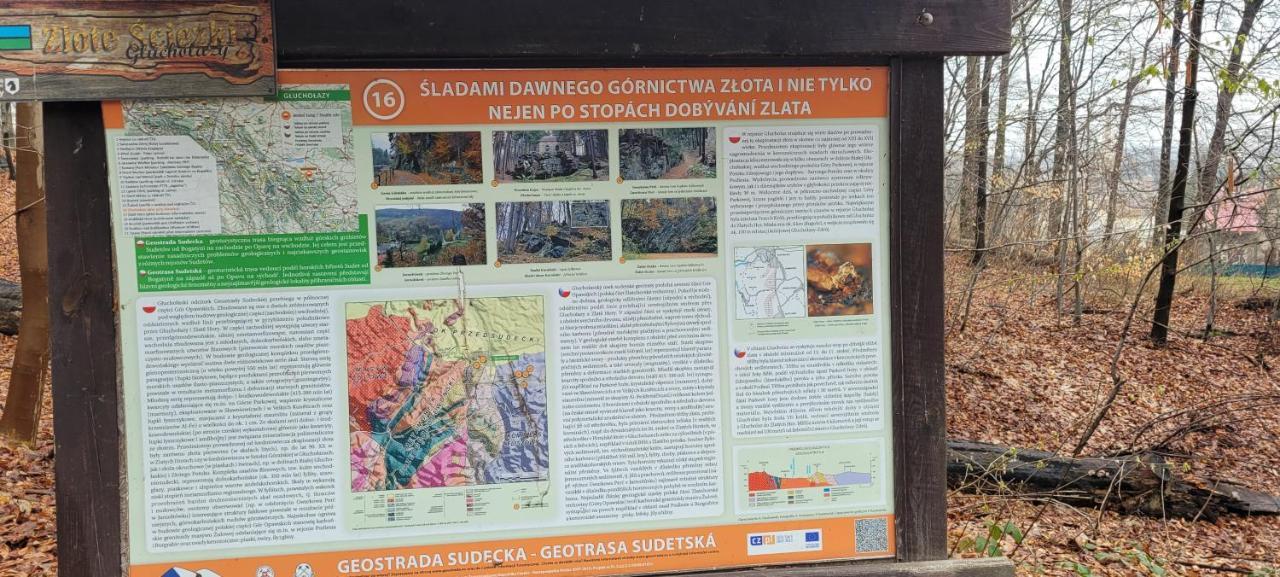 Zapomniany Zdroj Lägenhet Glucholazy Exteriör bild